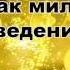 Дональд Трамп Думай как миллиардер Аудиокнига