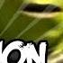 Pokemon Showdown How2Specs Mp4
