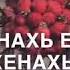 Чеченская музыка