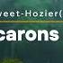 Too Sweet Hozier Lyrics Cover By The Macarons Project