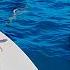 This Boat Has MOJO Overnight Boat Camping On The Great Barrier Reef