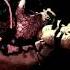 Spring Trap Death Screen Easter Egg Five Nights At Freddy S 3