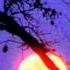 THE PHILADELPHIA ORCHESTRA Oceans Eleven S Clair De Lune