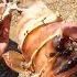 Giant Lobster Bare Hand Catch And Cook