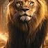 Favour It Surrounds Me Like A Shield