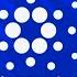 Cardano ADA I Don T Care 2025 Price Prediction