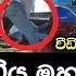 Train Accident Today News ද ම ර යට බ ළ ව තර ණ ය Train Accident Sri Lanka