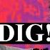 DIG Retrospective Recap Inside The Chaos Of The Brian Jonestown Massacre Vs The Dandy Warhols