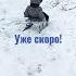 С горки на санках
