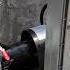 Centrifugal Pump Cavitation Sound