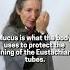 This Is What Causes Excess Mucus And Breathing Issues