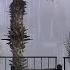 Loud Thunderstorm Sounds With Rain Fierce Wind Heavy Thunder And Lightning For Sleep Study Relax