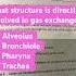 ATI TEAS Practice Question TEAS 7 Science Nursingexam Atiteas Teastest Futurenurse