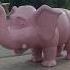 Розовый слон в Ужуре Pink Elephant In Uzhur Ужур розовыйслон Shorts