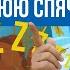 Трудно просыпаться и беспокоит сонливость зимой Сезонное аффективное расстройство