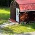 Living With Family On A Tiny Home Compound