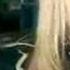 Catherine Britt Hillbilly Pickin Ramblin Girl Official Video