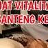 Pijat Urut Vitalitas Remaja Ganteng Pijat Tradisional