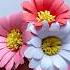 Cute Paper Daisy