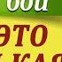 ЛЕТО ЭТО МАЛЕНЬКАЯ ЖИЗНЬ О Митяев как играть на гитаре Уроки игры на гитаре для начинающих