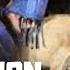 Mongolian Dubstep Jaw Harp Throat Singing Remix