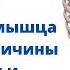 Всё о мышцах Часть 5 Квадратная мышца поясницы причины слабости и напряжения