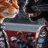 NasCAT Jr S Tribute To Mr Whiskers Sr A Legacy Of Speed And Love NasCAT CatRacing