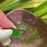 Vitamin E Capsules For Skin Benefits 100