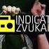 Виктор Цой Мумий Тролль Восьмиклассница версия от Indicator Zvuka
