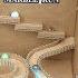 Wow Amazing DIY Marble Run Machine Without DC Motor