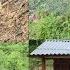 Daily Life Of A Single Mother Taking Care Of Cassava Garden And Growing Fruit Trees DANG THI DU