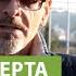 Какие лекарственные растения можно вырастить на приусадебном участке