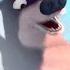 Open Season 2 Weee Water Slide Fun