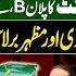 Imran Khan Release PPP S Entry Establishment S Plan B Muzamal Suharwardy Vs Mazhar Barlas