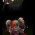 Happy Halloween CreepyPasta AMV