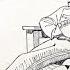 Public Assistance S Younger Brother Capital Punishment