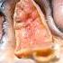 Risking Death For A Special Ceviche In Peru Risky Business Business Insider