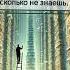 Знания книги цитаты музыка