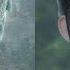 Film White Snake 2019