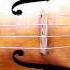 A Brief History Of The Violin