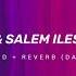 Sam Feldt Salem Ilese Hate Me Slowed Reverb