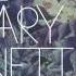 The Mary Onettes Unblessed
