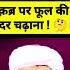 Qubar Per Fool Ki Chadur Chadhana Ya Agurbutti Jilana Shorts Muftitariqmasood