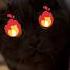 Black Cat Angry Cat Cheating Cat Cat Catshorts