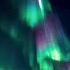 Zwecki Aurora