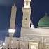 Roza E Rasool Madina Shorts