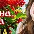 Марина Девятова Ах калина калина Single 2025