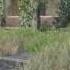 SURVARIUM ЖЕЛЕЗНЫЙ ДРОВОСЕК