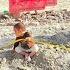 A Summer Day Of Love And Laughter In Saladin S Village