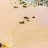 4WDs ABANDONED In Worst Desert Flood Desperate Escape Attempt